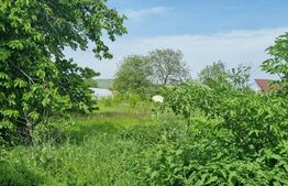 Casa individuala, 2 camere, 80 mp, teren 3000 mp, Magurele