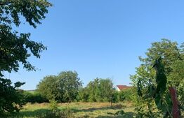 Casa individuala, 2 camere, 80 mp, teren 3000 mp, Magurele