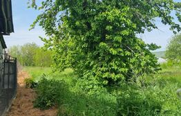 Casa individuala, 2 camere, 80 mp, teren 3000 mp, Magurele