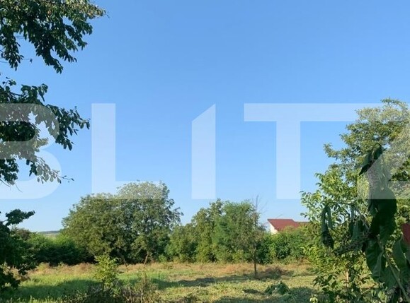 Casa de vânzare 2 camere Magurele - 116264CV | BLITZ Ploieşti | Poza6