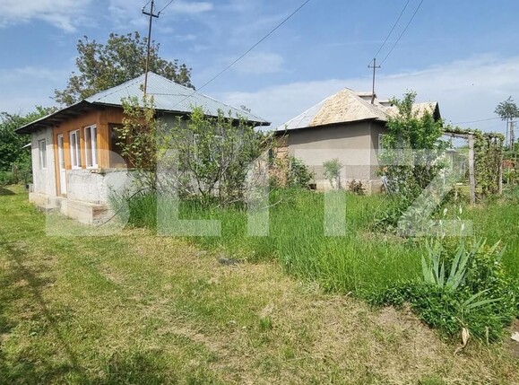 Casa de vânzare 2 camere Magurele - 116264CV | BLITZ Ploieşti | Poza3