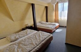 Imobil de vanzare, afacere la cheie, suprafata utila 1500mp, teren 1500mp, Central