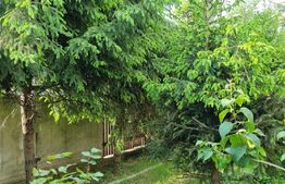 Casa individuala, 3 camere, 118 mp, teren 1000 mp, Baicoi