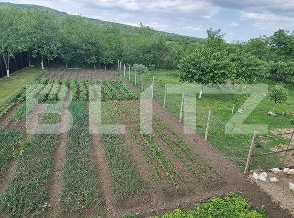 Casa de vânzare 4 camere Magurele - 116820CV | BLITZ Ploieşti | Poza6