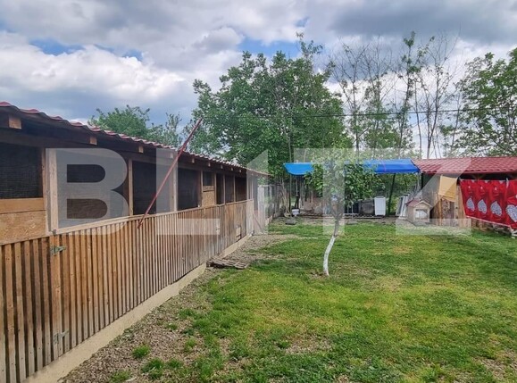 Casa de vânzare 4 camere Magurele - 116820CV | BLITZ Ploieşti | Poza5