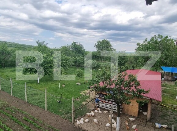 Casa de vânzare 4 camere Magurele - 116820CV | BLITZ Ploieşti | Poza7