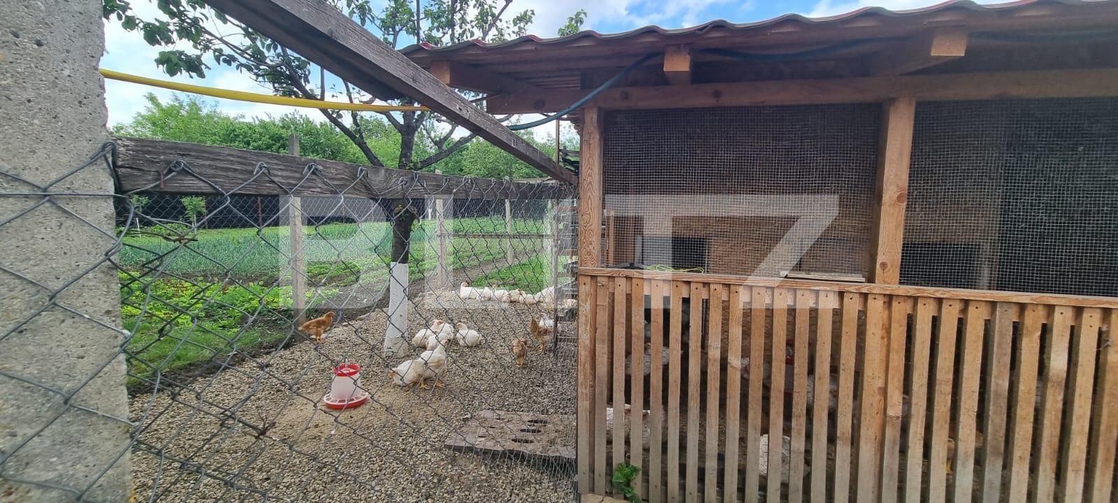 Casa de vânzare 4 camere Magurele - 116820CV | BLITZ Ploieşti | Poza8