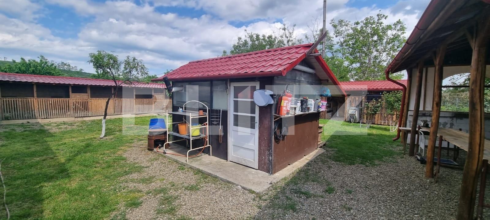 Casa de vânzare 4 camere Magurele - 116820CV | BLITZ Ploieşti | Poza9