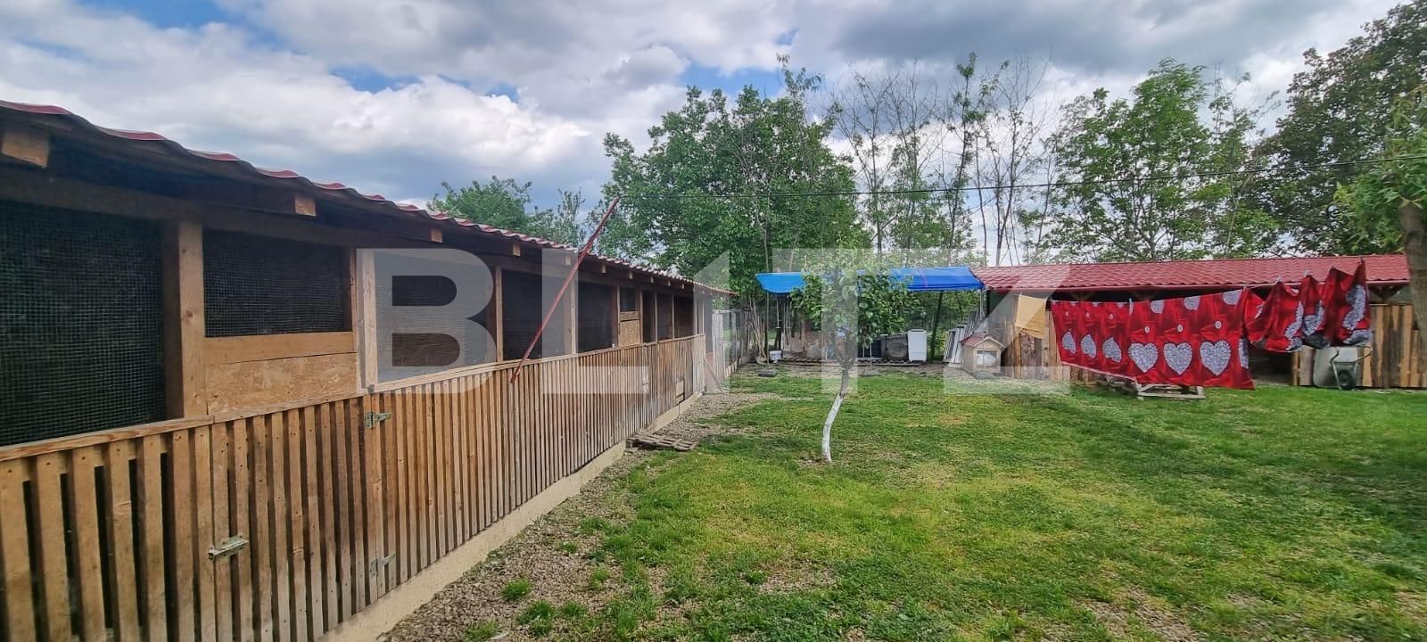 Casa de vânzare 4 camere Magurele - 116820CV | BLITZ Ploieşti | Poza5