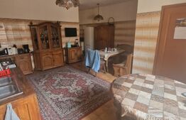 Casa individuala 4 camere, suprafata utila 240mp, teren 526mp, Lupeni