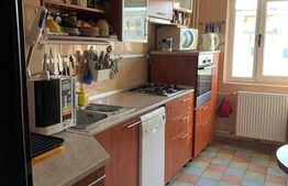Apartament 4 camere, decomandat, Paltinis