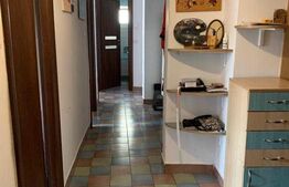 Apartament 4 camere, decomandat, Paltinis