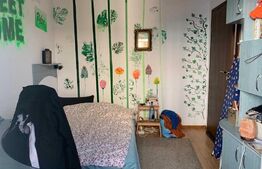 Apartament 4 camere, decomandat, Paltinis