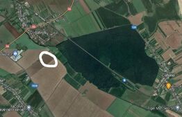 Teren extrevilan arabil 21ha