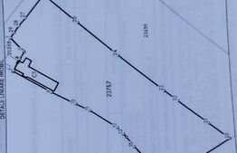 Casa individuala cu crama, teren 6700mp, Plopu