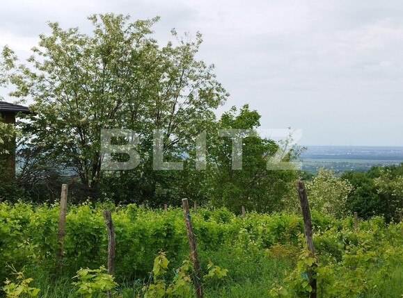 Casa de vânzare 7 camere Exterior Nord - 117257CV | BLITZ Ploieşti | Poza6