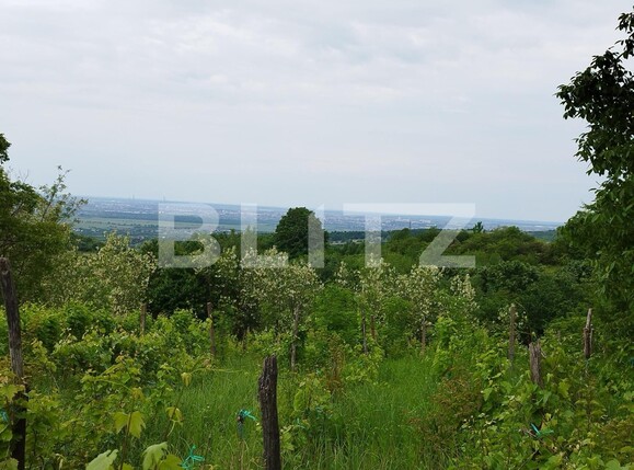 Casa de vânzare 7 camere Exterior Nord - 117257CV | BLITZ Ploieşti | Poza5