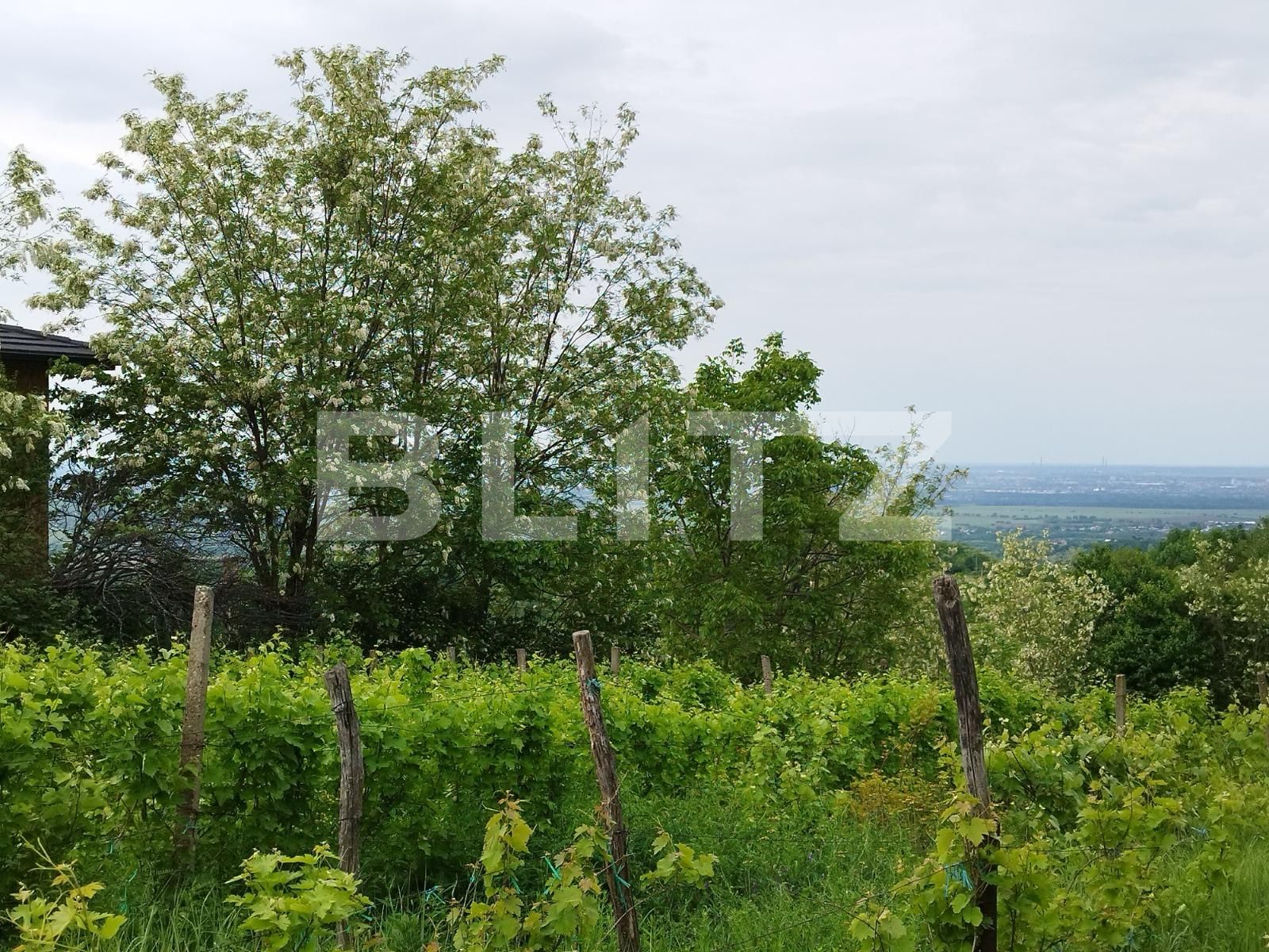 Casa de vânzare 7 camere Exterior Nord - 117257CV | BLITZ Ploieşti | Poza6