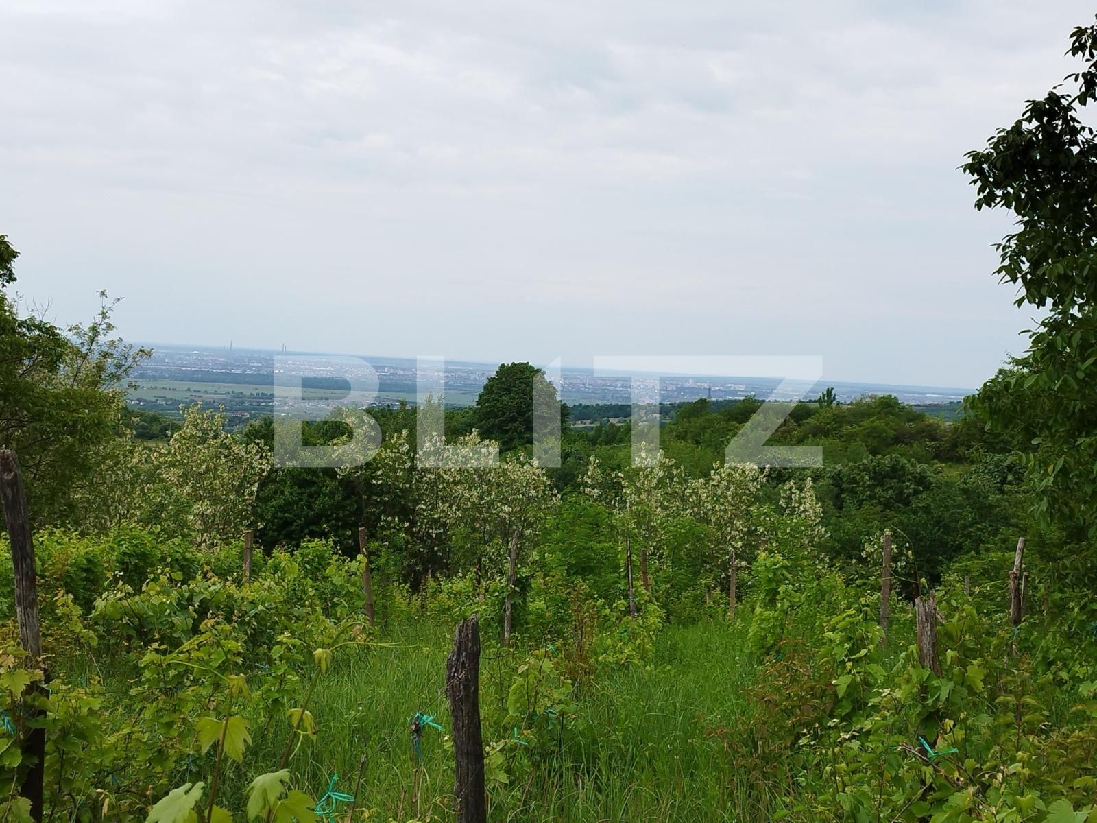 Casa de vânzare 7 camere Exterior Nord - 117257CV | BLITZ Ploieşti | Poza5