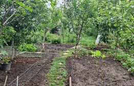 Casa individuala 6 camere, 210mp utili, teren 825mp, Baicoi