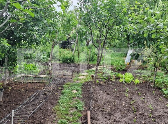 Casa de vânzare 6 camere Exterior Nord - 117416CV | BLITZ Ploieşti | Poza9