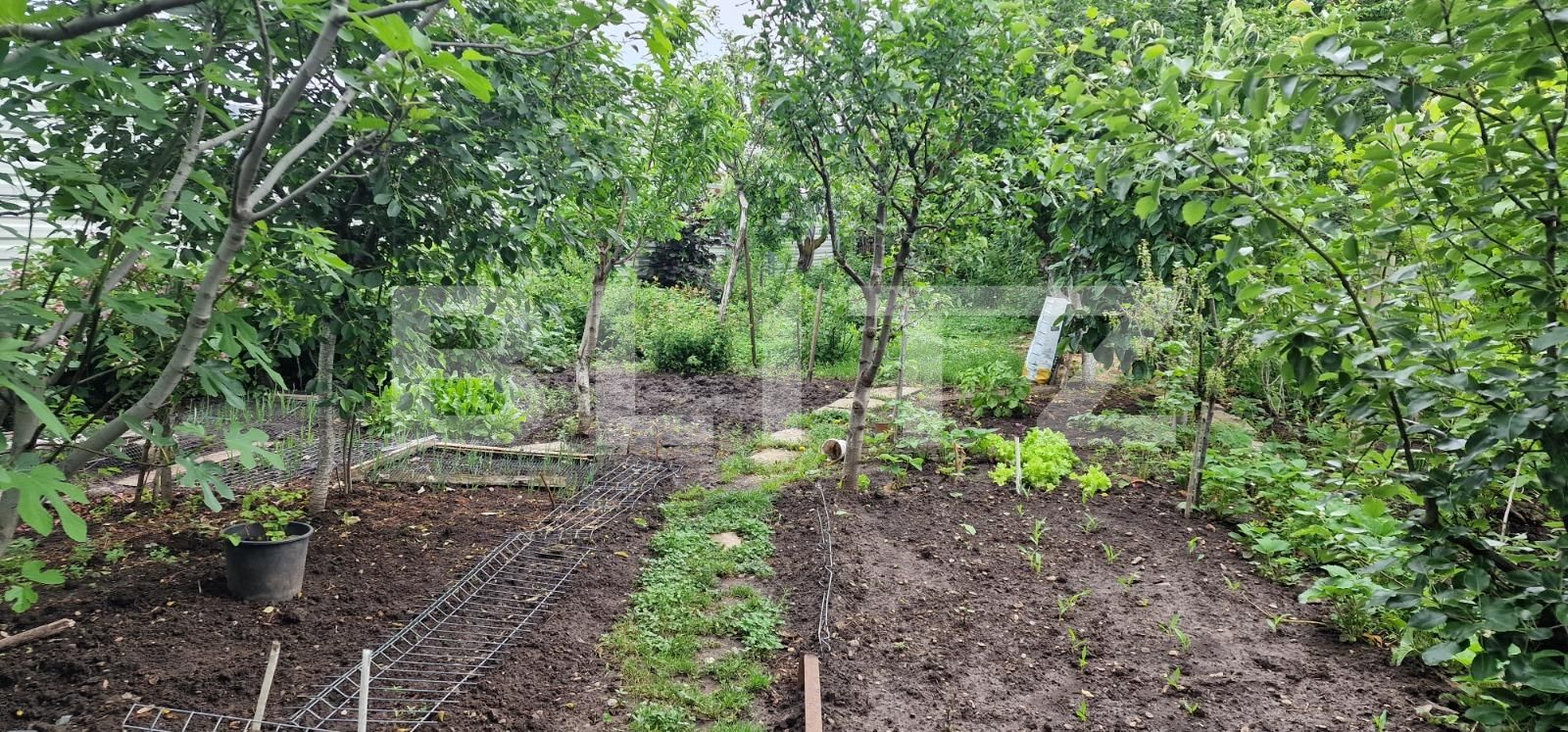 Casa de vânzare 6 camere Exterior Nord - 117416CV | BLITZ Ploieşti | Poza9