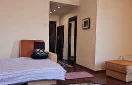 Garsoniera, 33mp, Ultracentral