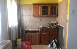 Garsoniera, 20 mp, etaj intermediar, zona de Vest