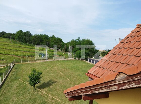 Casa de vânzare 7 camere Exterior Nord - 118238CV | BLITZ Ploieşti | Poza11