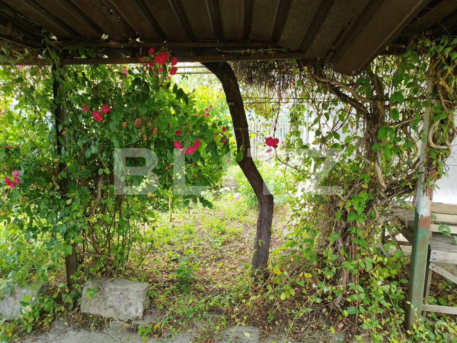 Casa de vânzare 3 camere Lupeni - 118239CV | BLITZ Ploieşti | Poza6