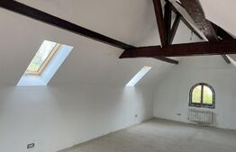 Vila boiereasca P+1E+M, 5 camere, suprafata utila 193 mp, teren 308 mp, Eminescu