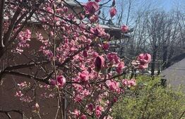 Vila boiereasca P+1E+M, 5 camere, suprafata utila 193 mp, teren 308 mp, Eminescu