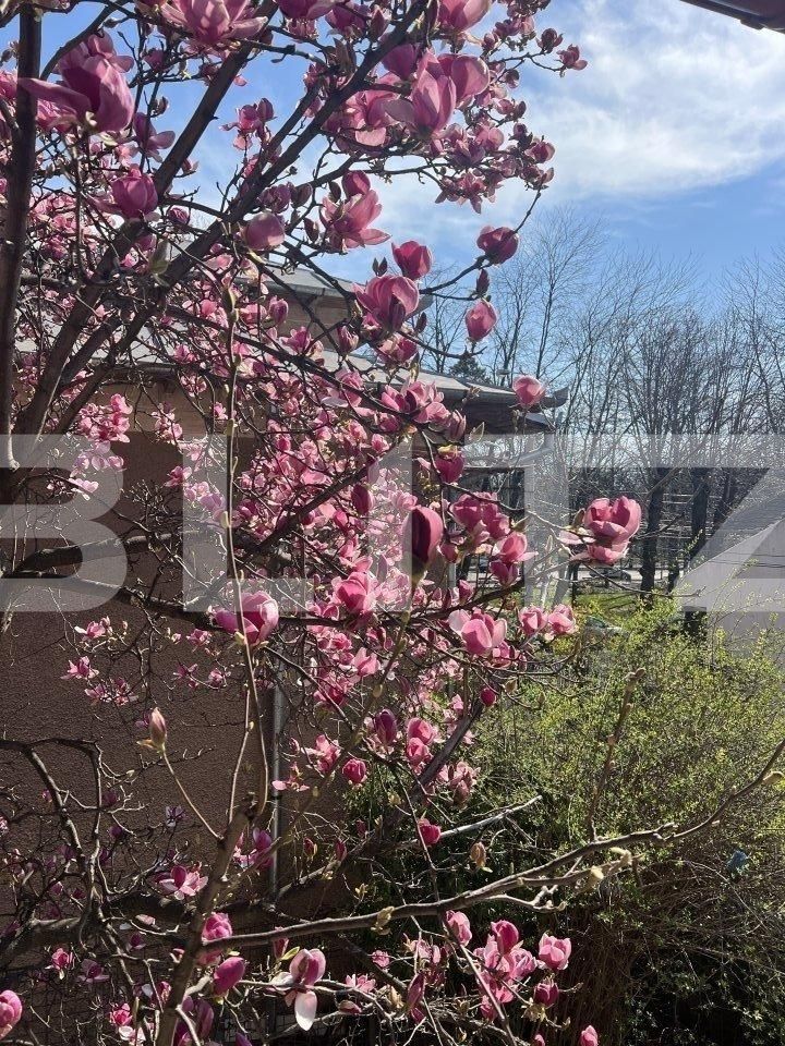 Casa de vânzare 5 camere Eminescu - 118244CV | BLITZ Ploieşti | Poza10