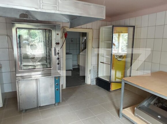 Spațiu industrial de închiriat Bereasca - 118575SII | BLITZ Ploieşti | Poza1