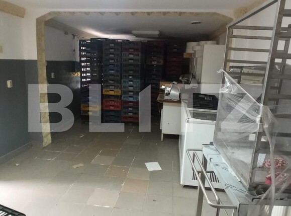 Spațiu industrial de închiriat Bereasca - 118575SII | BLITZ Ploieşti | Poza3