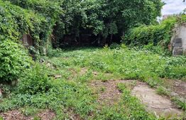 Casa individuala, 2 corpuri, 4 camere, 134mp utili, teren 285mp, Cantacuzino