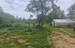  Teren intravilan, 4230 mp, Baicoi