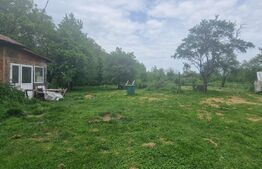  Teren intravilan, 4230 mp, Baicoi