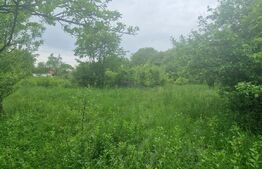  Teren intravilan, 4230 mp, Baicoi