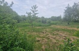  Teren intravilan, 4230 mp, Baicoi