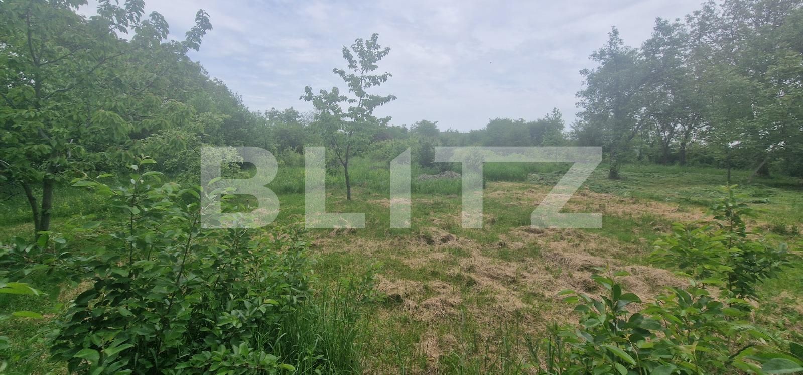 Teren de vânzare Exterior Nord - 119251TV | BLITZ Ploieşti | Poza6