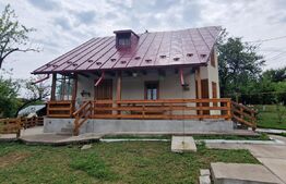 Casa individuala 4 camere, suprafata utila 107 mp, teren 1650 mp, Seciu