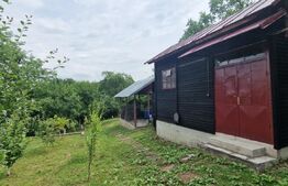 Casa individuala 4 camere, suprafata utila 107 mp, teren 1650 mp, Seciu