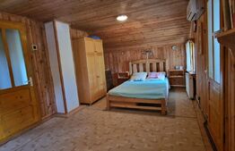 Casa individuala 4 camere, suprafata utila 107 mp, teren 1650 mp, Seciu