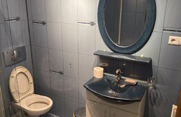 Casa individuala P+M, 4 camere, 160 mp utili, teren 185 mp, Dorobantul