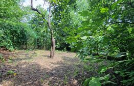 Casa demolabila 4 camere,100 mp, teren 500 mp, Bariera Bucuresti