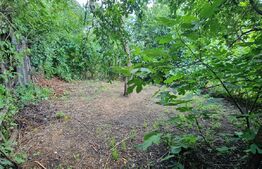 Casa demolabila 4 camere,100 mp, teren 500 mp, Bariera Bucuresti