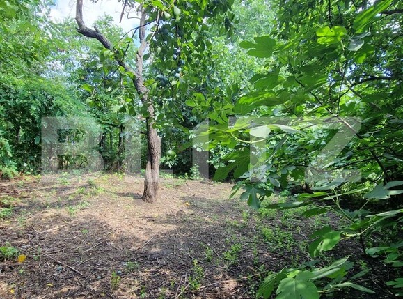 Casa de vânzare 4 camere B-dul București - 119741CV | BLITZ Ploieşti | Poza5