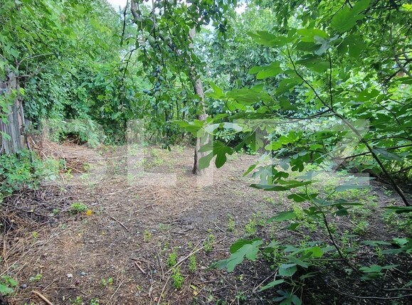 Casa de vânzare 4 camere B-dul București - 119741CV | BLITZ Ploieşti | Poza4