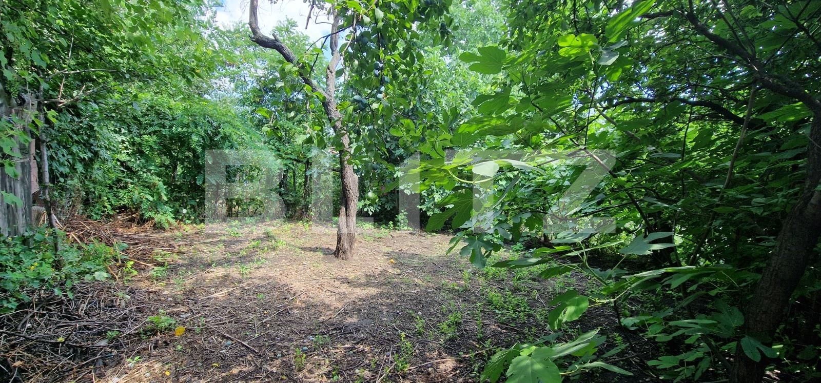 Casa de vânzare 4 camere B-dul București - 119741CV | BLITZ Ploieşti | Poza5